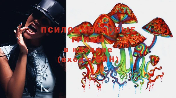 MESCALINE Нефтегорск