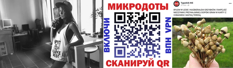 Псилоцибиновые грибы Psilocybine cubensis  где найти наркотики  Поронайск 